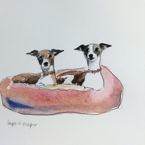 two greyhounds dogs watercolor by BC artist Wendy Tsao