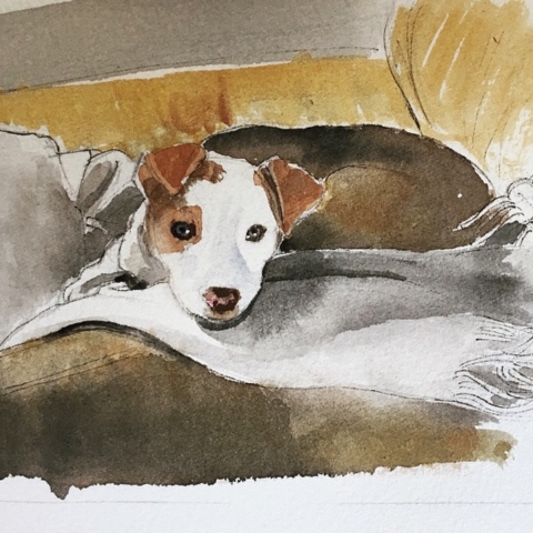 resting dog watercolor portrait by BC artist Wendy Tsao